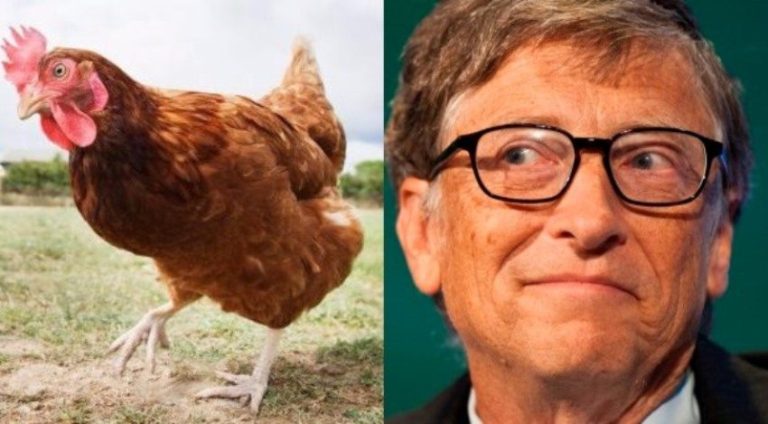 Bill Gates Threatens Africa’s Food Supply with 100,000 Vaccinated ...