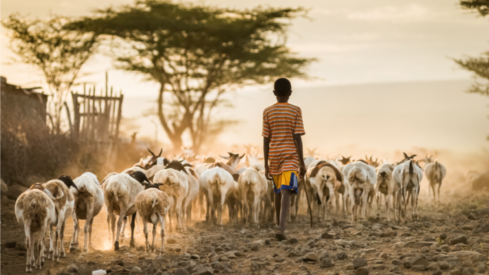 Image: A boy and a goat in a village in Ghana.