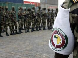 Image: Some imposters calling themselves an ECOWAS Force, readying themselves like their erstwhile slave trading step uncles to invade Niger