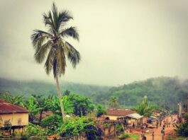 Image: A village, Wli Todzi, in Ghana