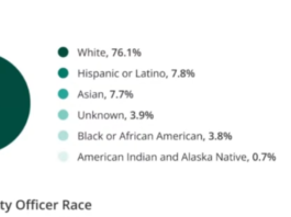 Chief Diversity Officer by Race. White Women take the monstrous share at 76.1%. Of this, 55% are white women. Only 3.8% of Chief Diversity Officers are Black or African Americans - whether they are male, female, LGBTQIA++++, Hispanic or that or that. You see? The issue remains, Anti-Blackness. Nothing else.